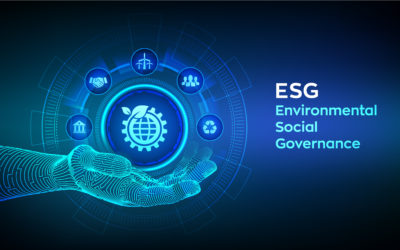 Is ESG now an important factor in your business strategy?